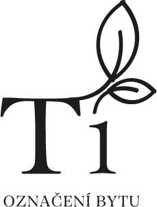 T1