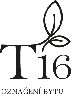 T16