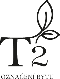 T2
