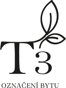 T3