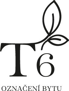 T6